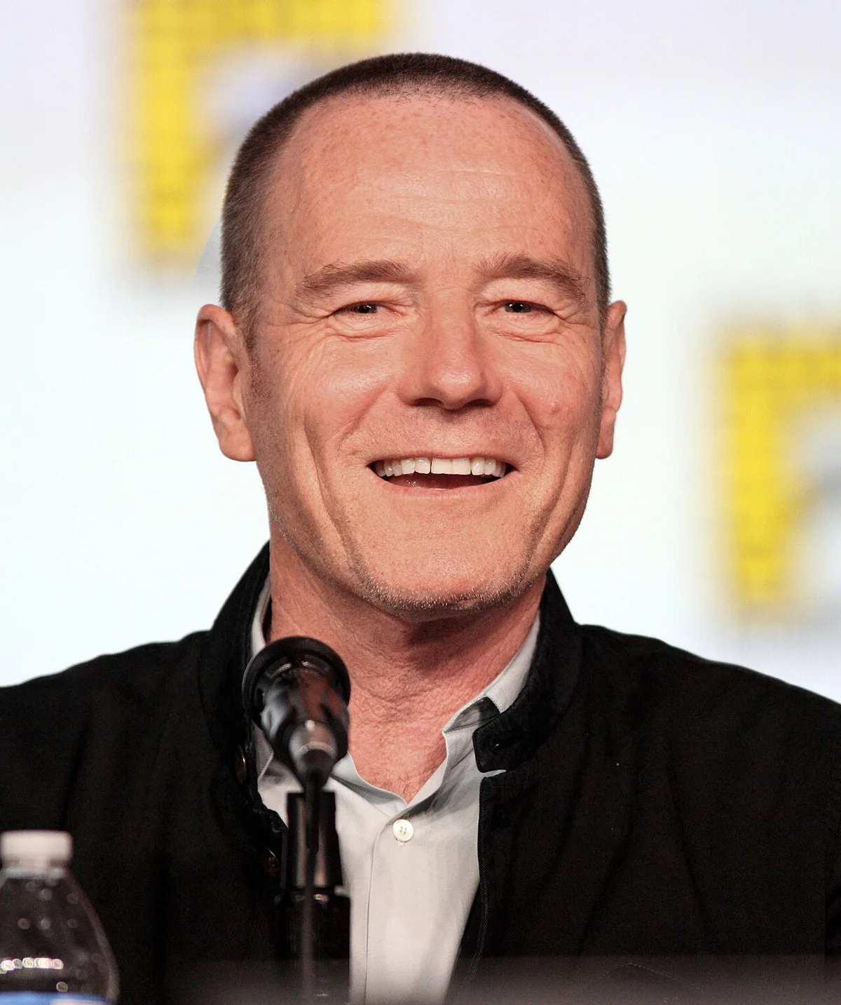 Bryan Cranston portrait, Breaking Bad star biography.
