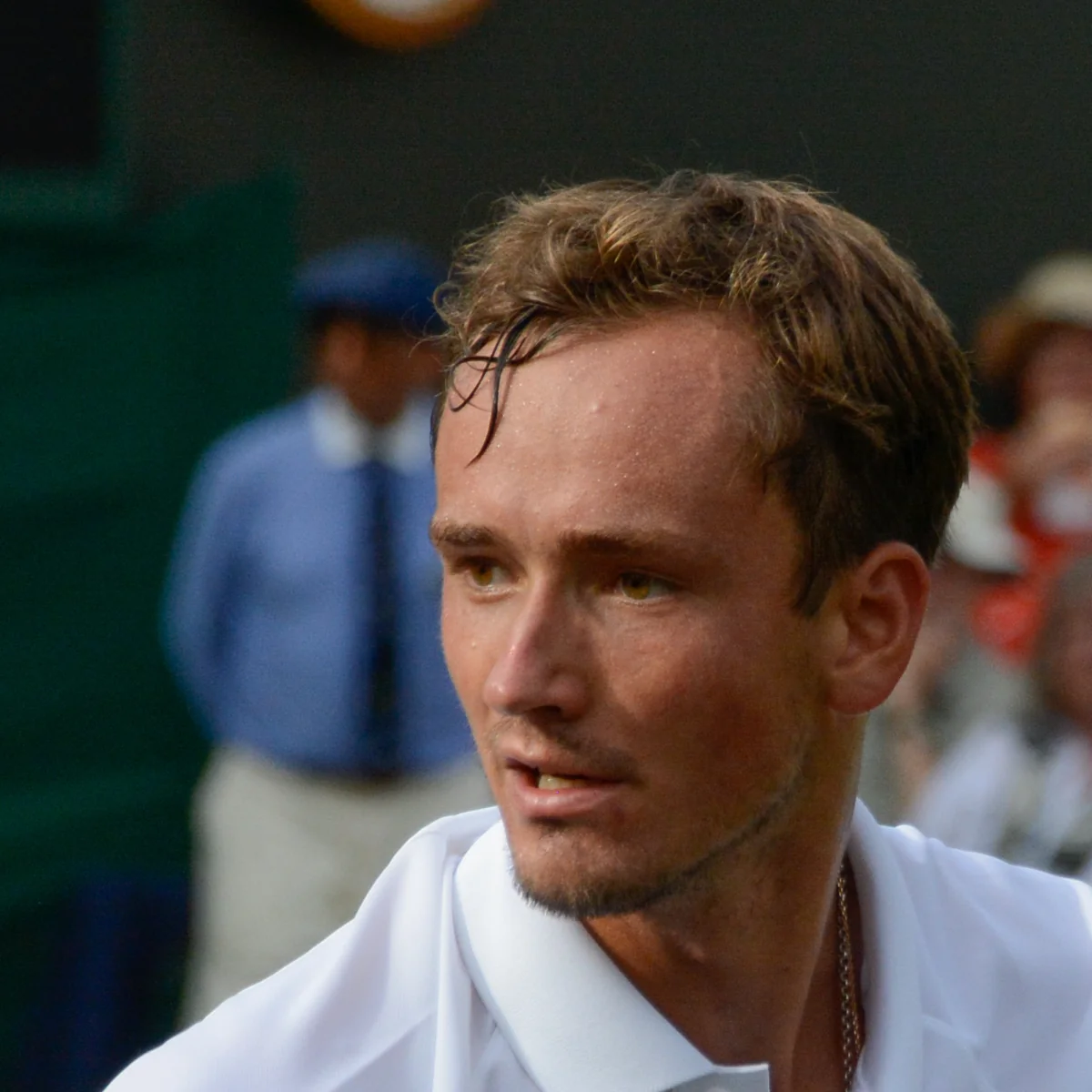 Daniil Medvedev headshot