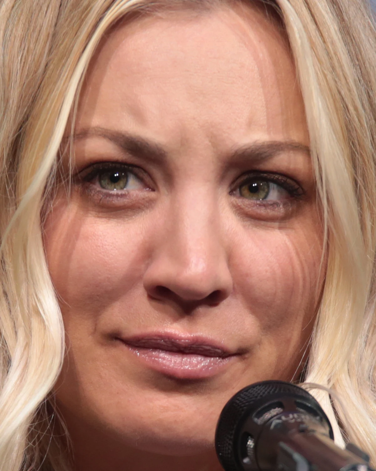Kaley Cuoco Net Worth 2026: $110 Million