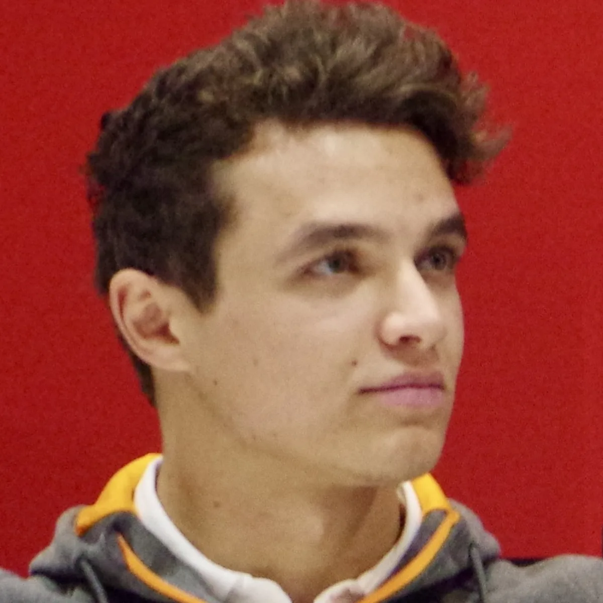 Lando Norris headshot