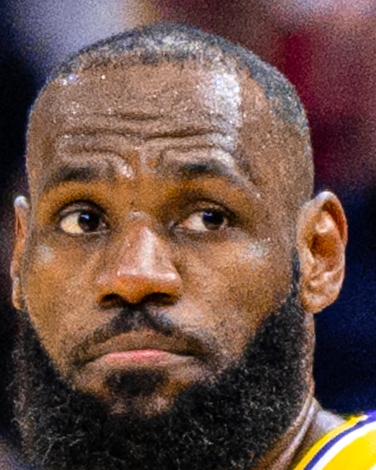 LeBron James headshot