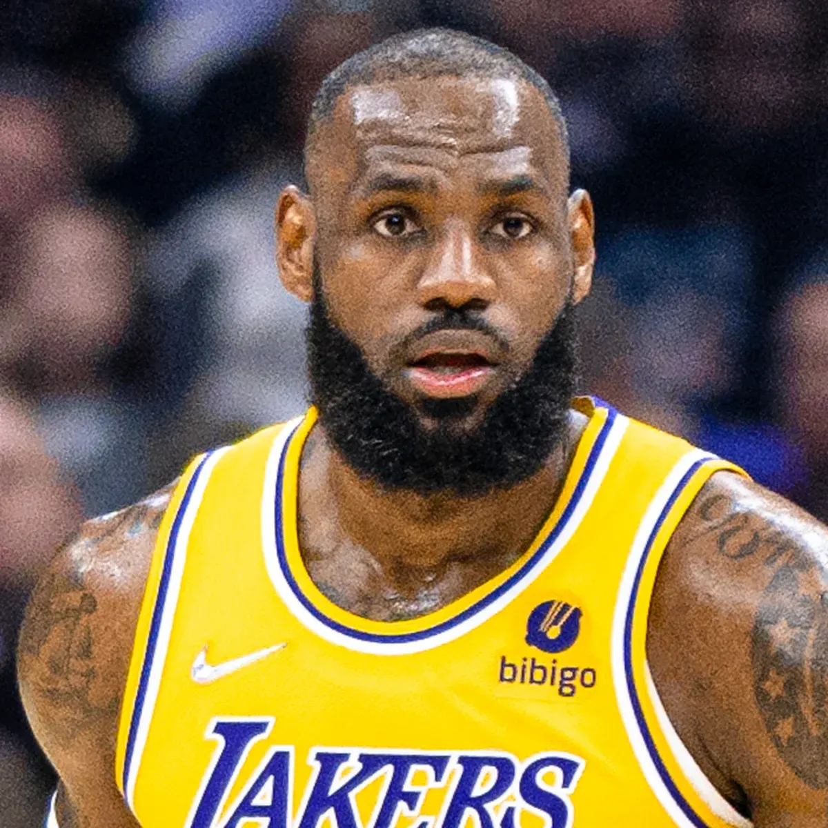 LeBron James headshot
