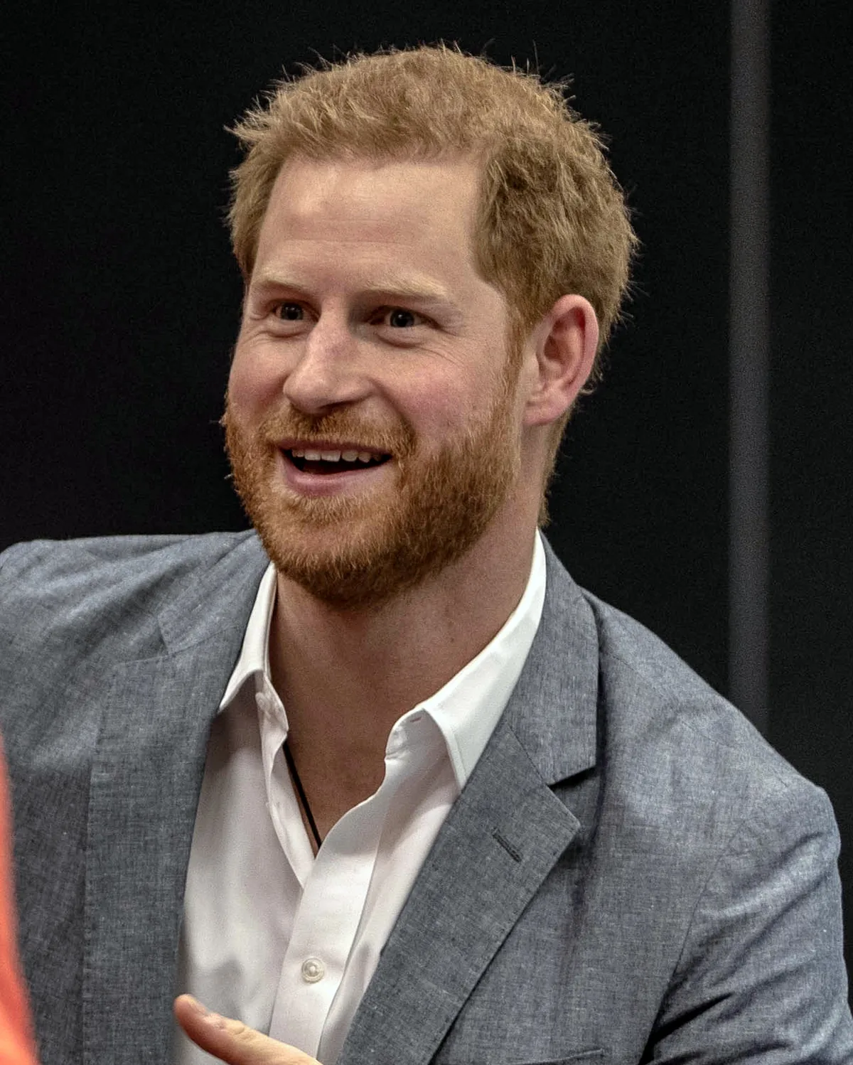 Prince Harry biography